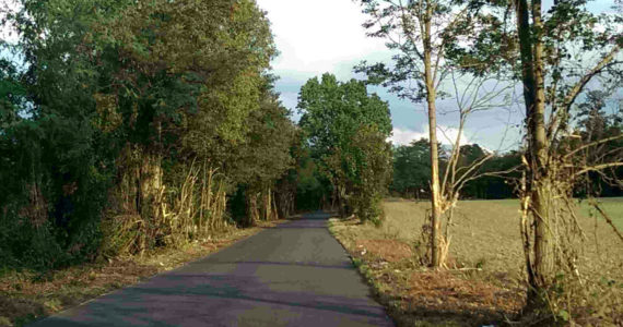 Route de Villevaudé Nord